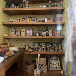 Some of the miniatures