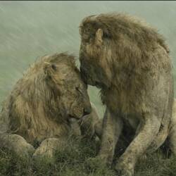 Shelter from the rain