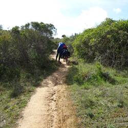 Lady Google ist eine tolle Wegführerin... es wird immer schmaler und steiler