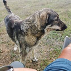 Princessa ist natürlich auch noch hier