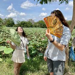 ליד החווה היה שדה לוטוסים