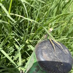 Weiß wer, was das ist ?☺️