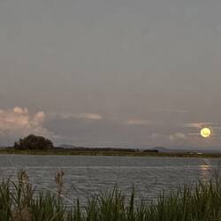 Der Mond hier ist um einiges größer, als in DE. Aber auch hier war Vollmond 🌚