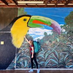 Tschüß, Monteverde