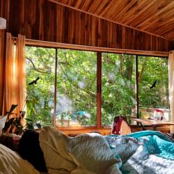 Guten Morgen, Dschungel