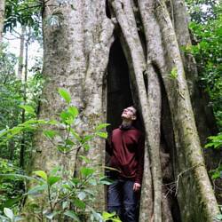 Später wird der Baum komplett hohl sein 🌳