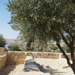 Foundations of earlier church structres atop Mt. Nebo.