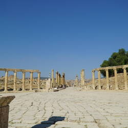 The Forum
