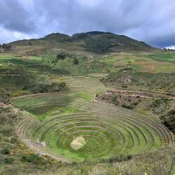 Moray