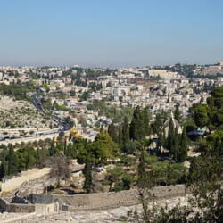 The Garden of Gethsemene in foreground right.