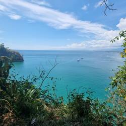 Blick vom Jungle aus