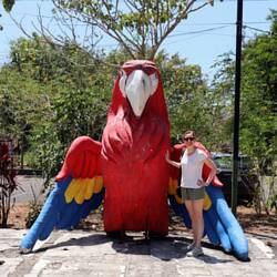 Carara-Nationalpark 🦜