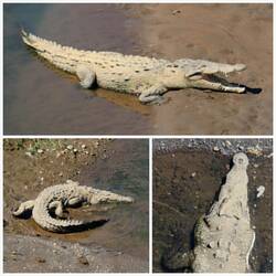 Hat das rechts unten einen Totenkopf auf der Nase? 💀