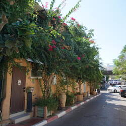 Jaffa side street