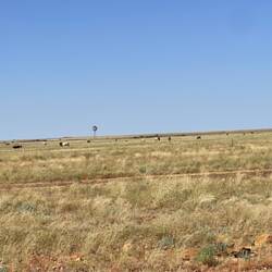 Grasslands as far as the eye could see