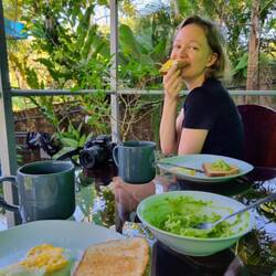 Frühstück mit Faultier