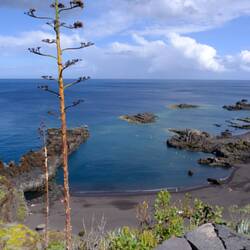 endlich etwas weniger windig für Koteletts Einsatz