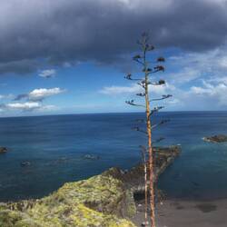 Santa Cruz & Playa Los Cancajos