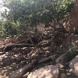 The spring high up at Lawrence of Arabia's encampment