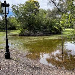 neuer See vor unserem Haus