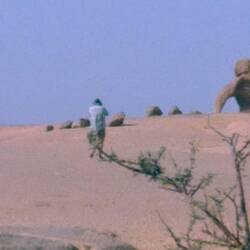 L'éléphant de Tasset