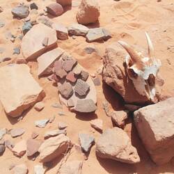 Meule et ses poteries, certainement un atelier