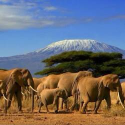An amazing view to Kili, from Amboseli NP!