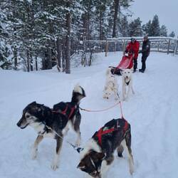 Kurz vorm Start mit letzten Tipps von Cäsar