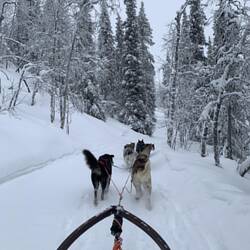 Durch den Tiefschnee