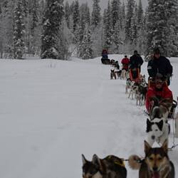 Unsere Gespanne bei einem kurzen Stopp