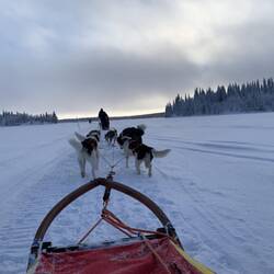 Über die zugefrorenen Seen