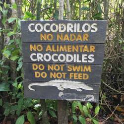Krokodile im Park?