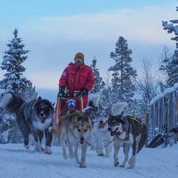 Auf dem Weg zurück zur Lodge