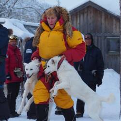 Unsere Gastgeberin Lotti beim "Einsammeln" ihrer Huskies