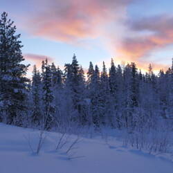 Rosa Wölkchen am Morgen