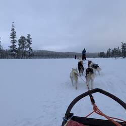Auf den zugefrorenen Seen
