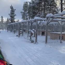 Abfahrt zum Flughafen auf dem Elektroschlitten