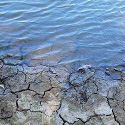 The river banks are usually either sand or clay. This is what the clay looks like...