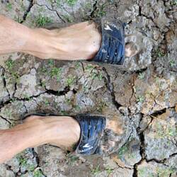 And this is what your feet look like after walking g through it :-(