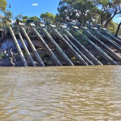 Yes, yes, more pumps! 10 in one bank this time. Presumably providing water to the horticultural areas beyond.