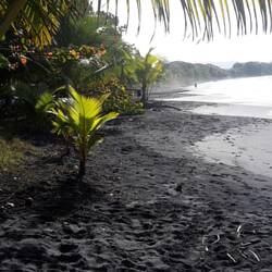 Schwarzer Strand