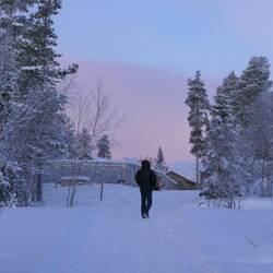 Roman auf dem Rückweg vom Morgenspaziergang