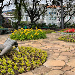 Santa Catarina Park — Funchal, Madeira Island.
