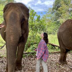 Mondulkiri Project