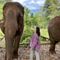 Mondulkiri Project