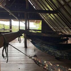 Sleeping in hammock