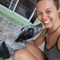 Der süße Hund wohnt da auch mit drin