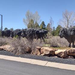 Buffalo Bill's Tavern & Grill