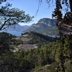Paul hat beim Wandern auch den Stuhl entdeckt, den ich mal beschrieben hatte