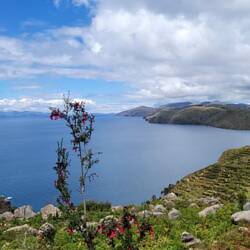 Ausblick aus unserem Fenster